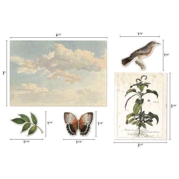 Organic Layers (45/pk.) - Tim Holz 'Idea-Ology' Collection