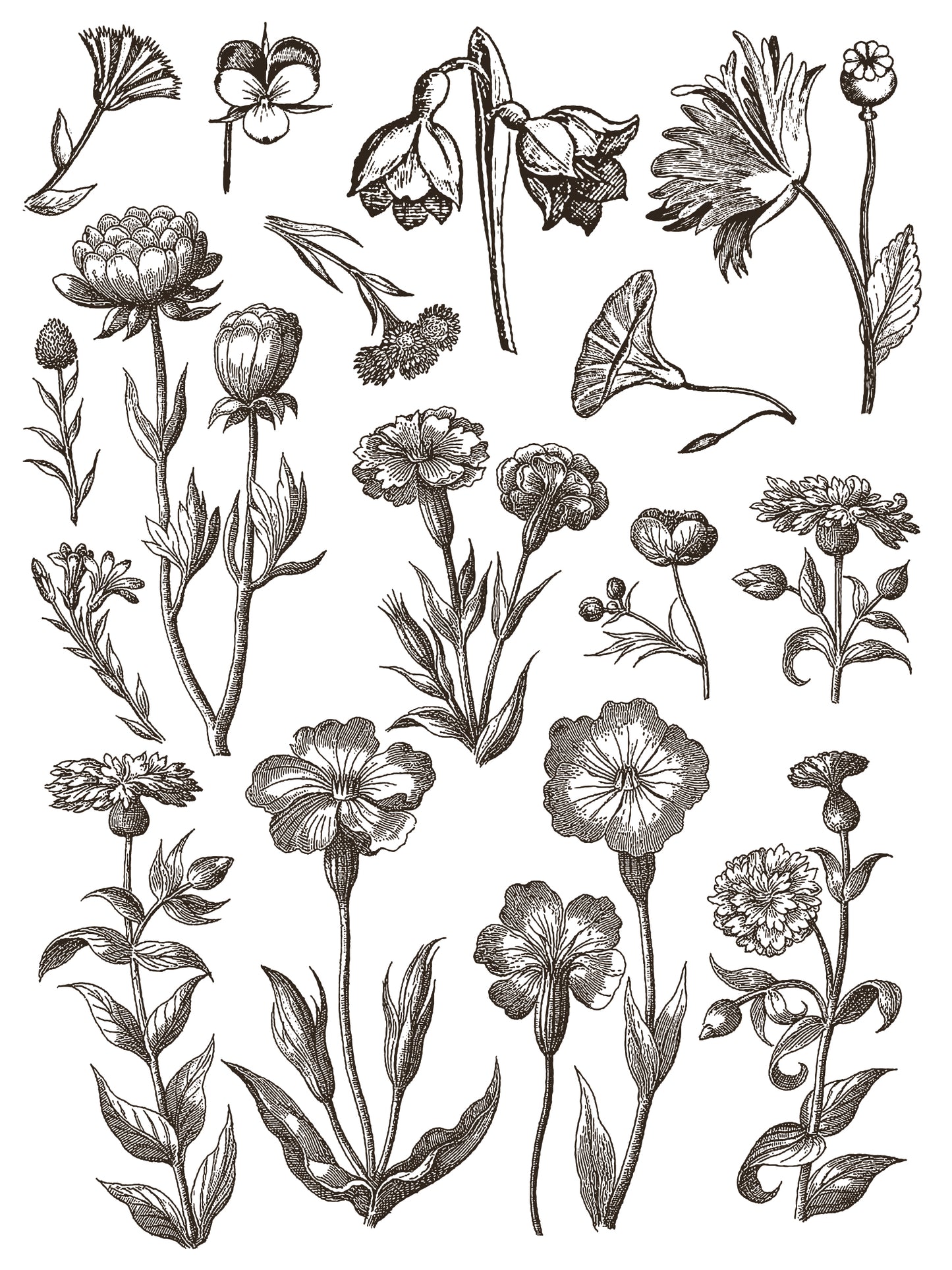 Romantic floriography flowers furniture transfer page one of eight