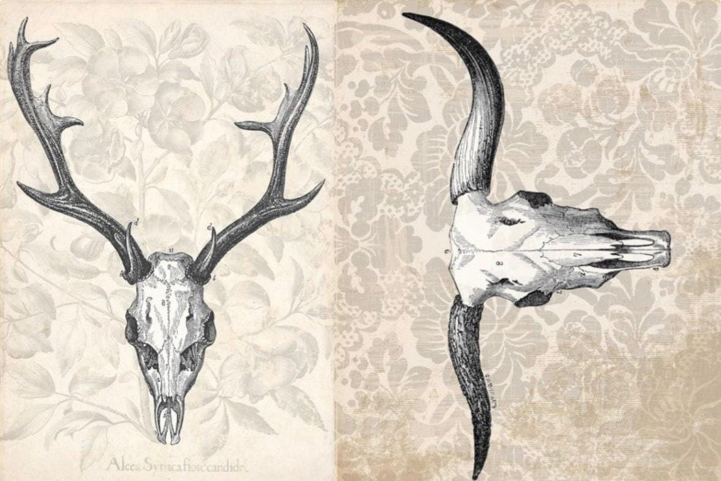 Antler Project Blocks - 20" x 30" Decoupage Paper - Roycycled