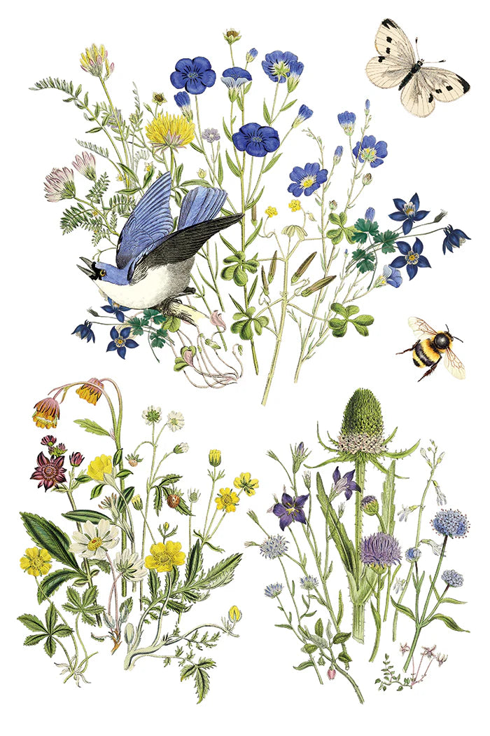 Flora Greca - 8" x 12" Botanical Transfer Pad - IOD