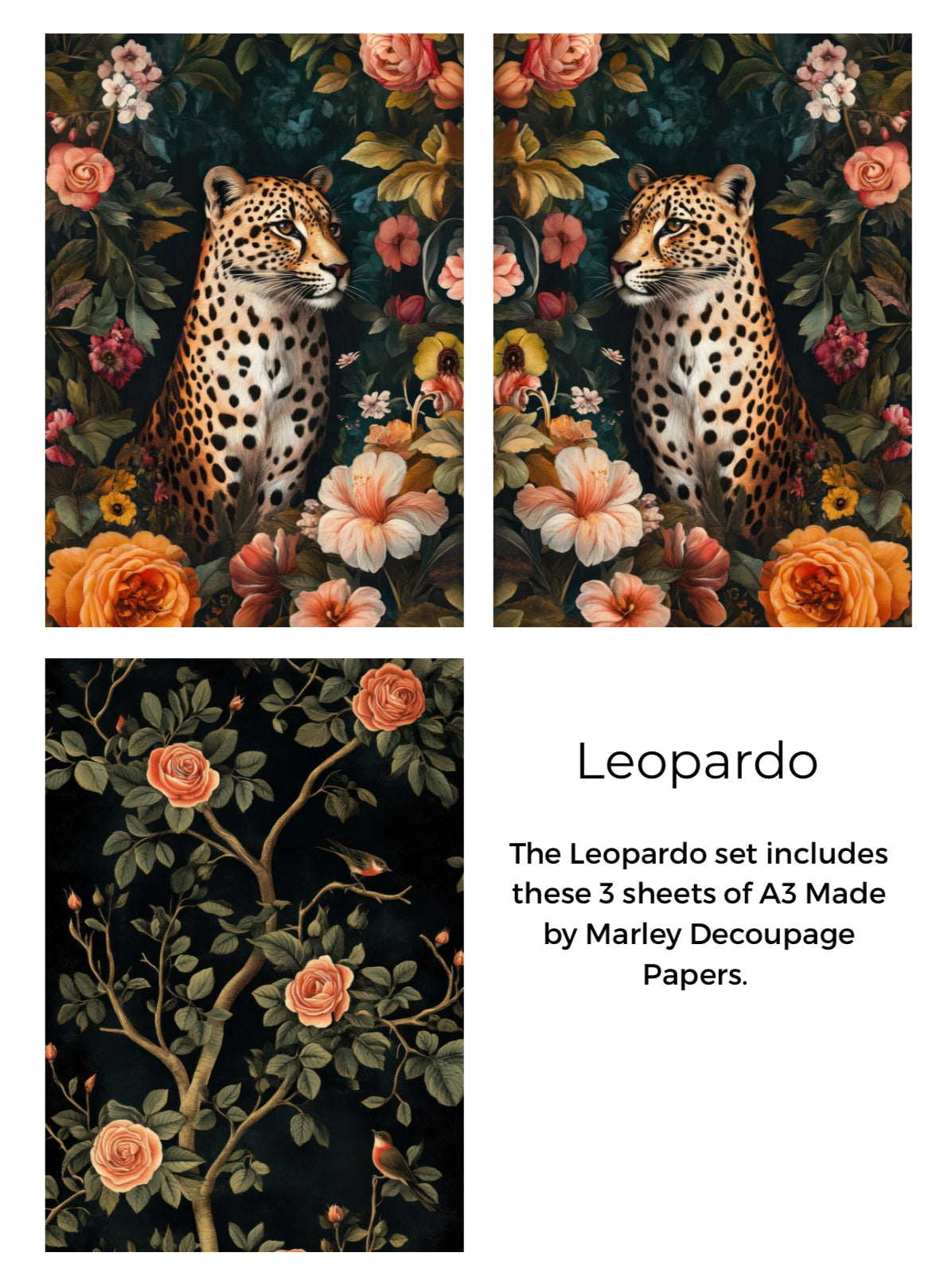 Leopardo - Decoupage Paper