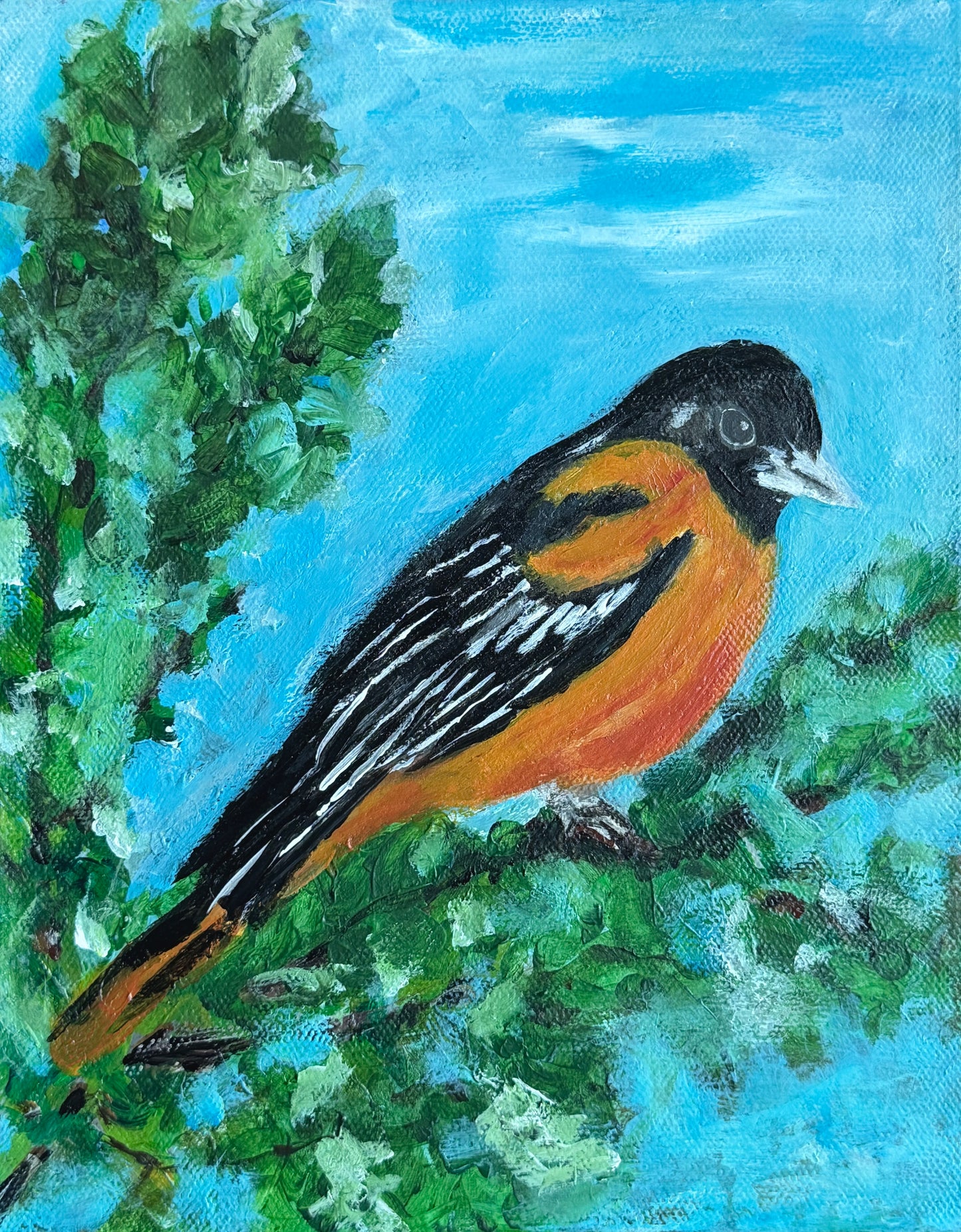 Oriole - fine art print by Aimee Robinson