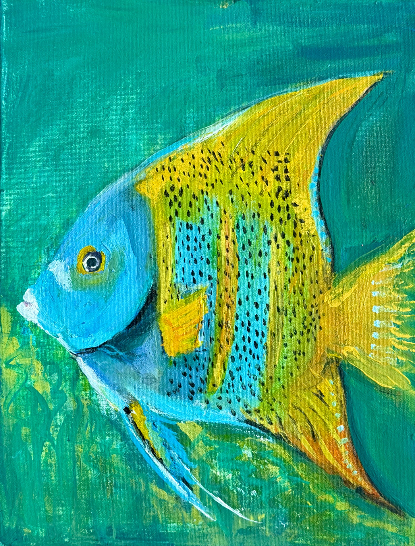 "Queen Angelfish" - fine art print by Aimee Robinson