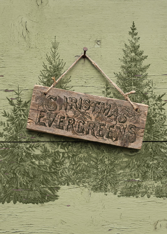 A rustic wooden hanging sign with the words “Christmas Evergreens” in raised lettering, suspended by twine against a painted green wood background with tree silhouettes.