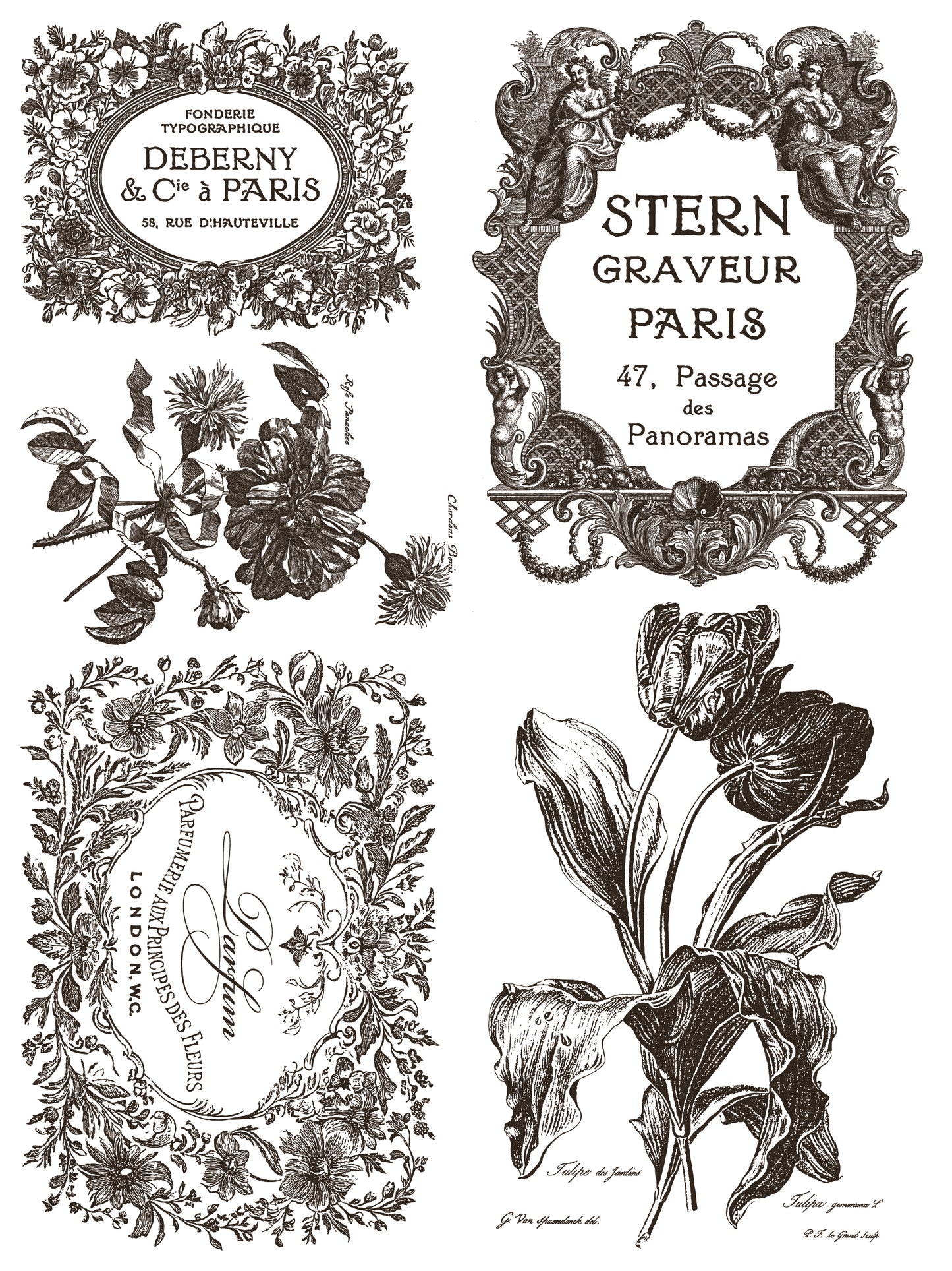 Decorative vintage-style frames and floral elements on a white background