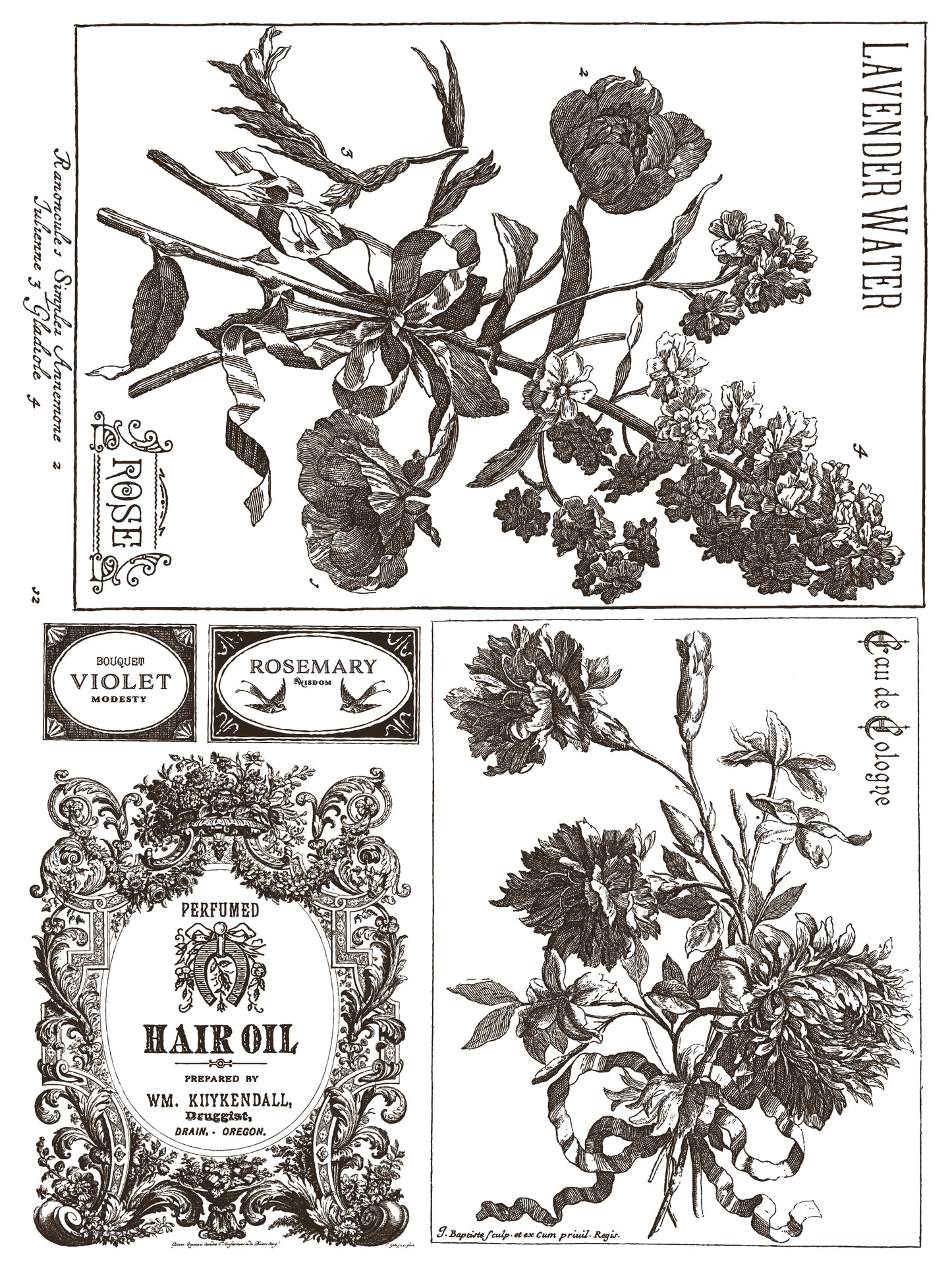 Illustrations of flowers and vintage-style product labels on a white background