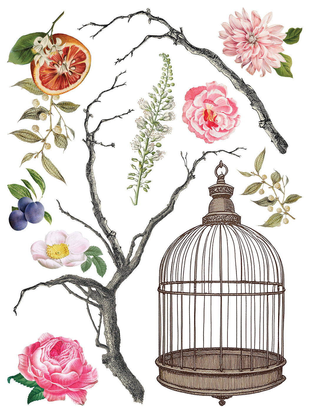 Page from IOD Menagerie transfer with birdcages and branches