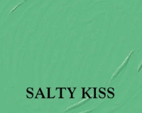 Salty Kiss 2 oz. Sample Jar - DIY Paint Co.