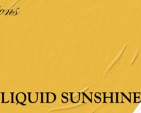 Liquid Sunshine 2 oz. Sample Jar - DIY Paint Co.
