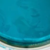 Walk on Water 2 oz. Sample Jar - DIY Paint Co.