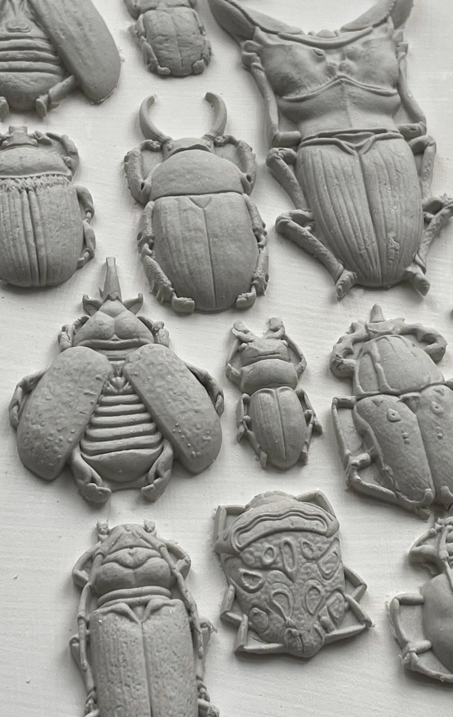 Specimens- IOD Decor Mould