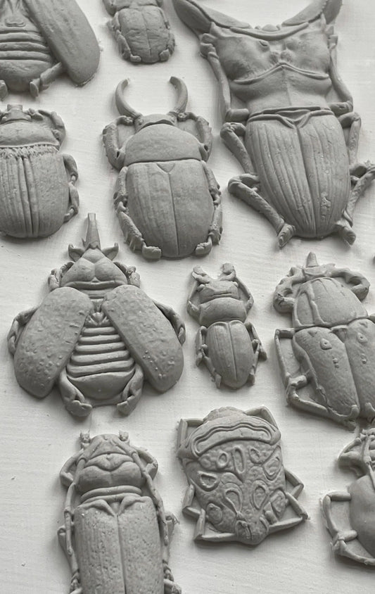 Specimens - 6” x 10” Insect Decor Mould