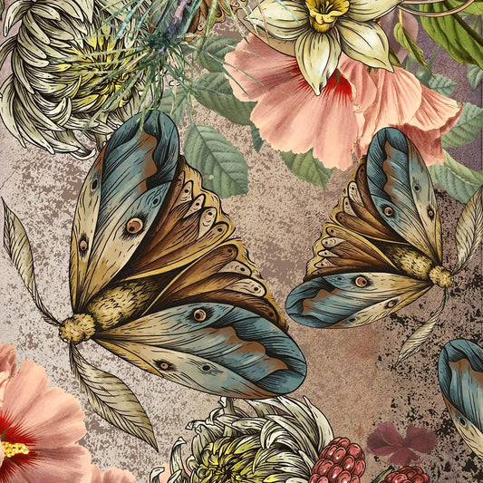 A preview of a page from the Big Moff decoupage set, featuring two moths and floral border.