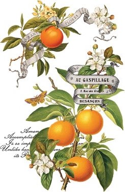 Clementine Transfer