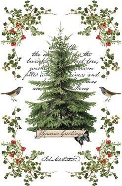 Winter Botanist - Transfer