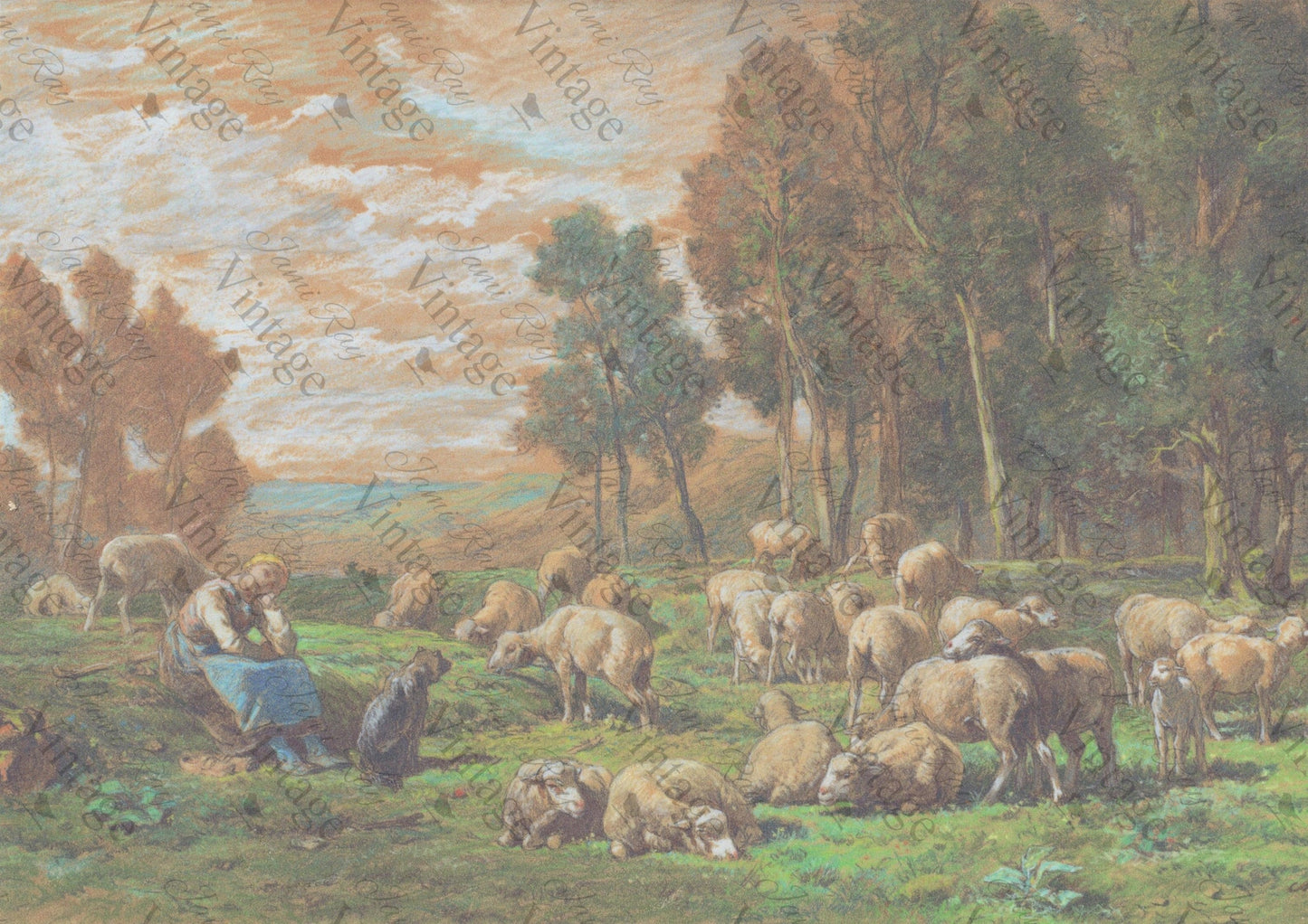 Pastoral Sheep| JRV A4 Rice Paper