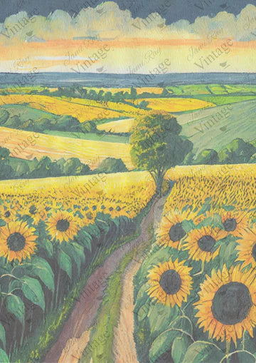 A4 size rice paper of a sprawling sunflower field with a country trail down the middle and rolling hills in the background.