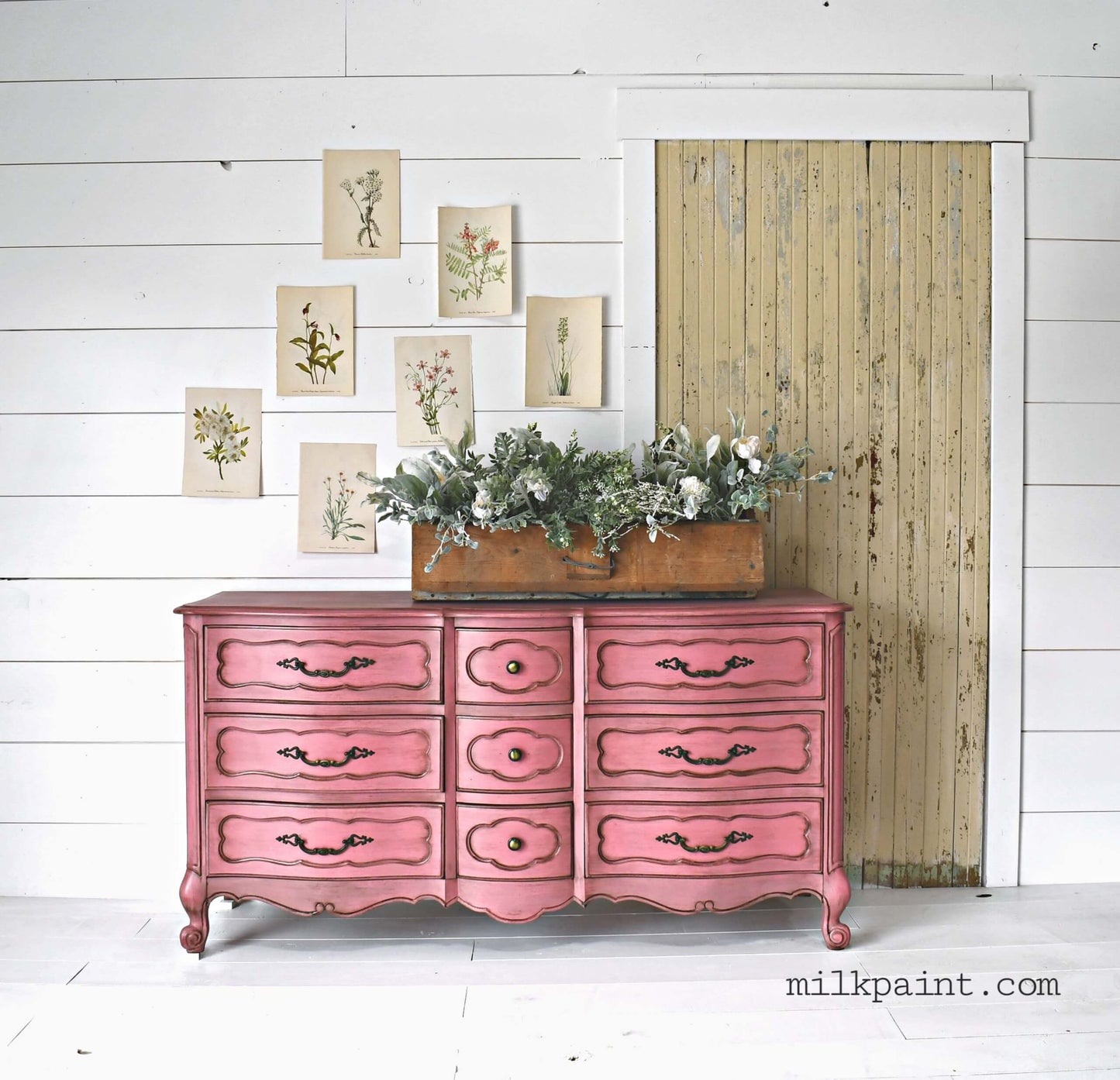 Pink dresser with a wooden planter and plants against a white wall with framed botanical prints.