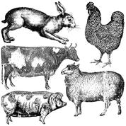 A set of five different farm animal decor stamps, including an image of a rabbit, chicken, duck, pig, and sheep.