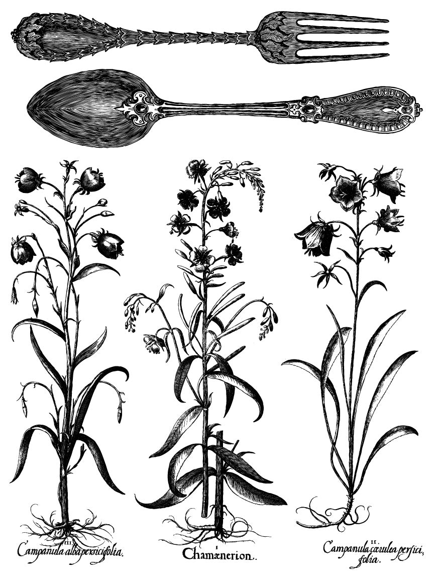 A black and white paint inlays sheet from IOD's "Melange" set, with a fork, spoon, and vintage floral illustrations with their scientific names.