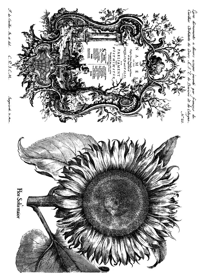 An inlay sheet from the "Melange" set by IOD, with a parliament sign surrounded by vines, as well as a large, detailed sketch of a sunflower