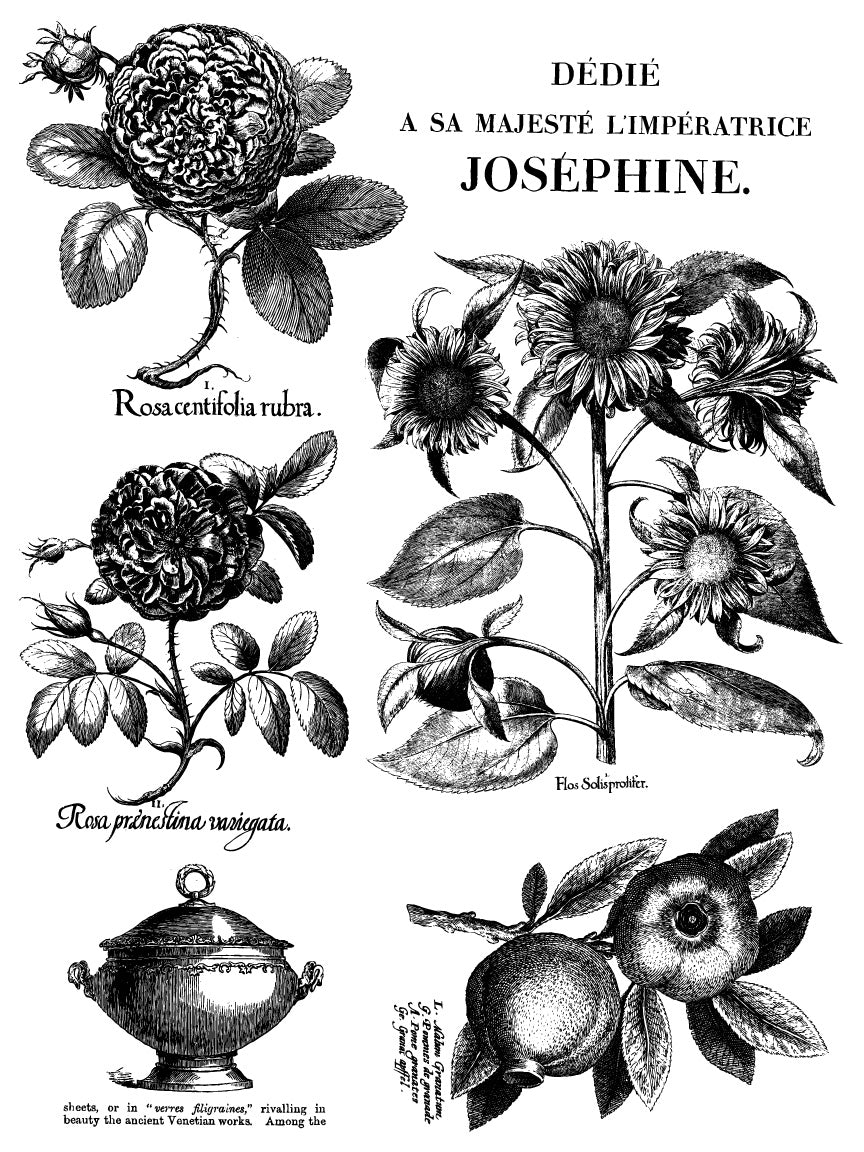 A black and white paint inlay sheet from IOD's Melange collection with flowers, roses, and the phrase "Dêdié A Sa Majesté L'Impératrice Joséphine."