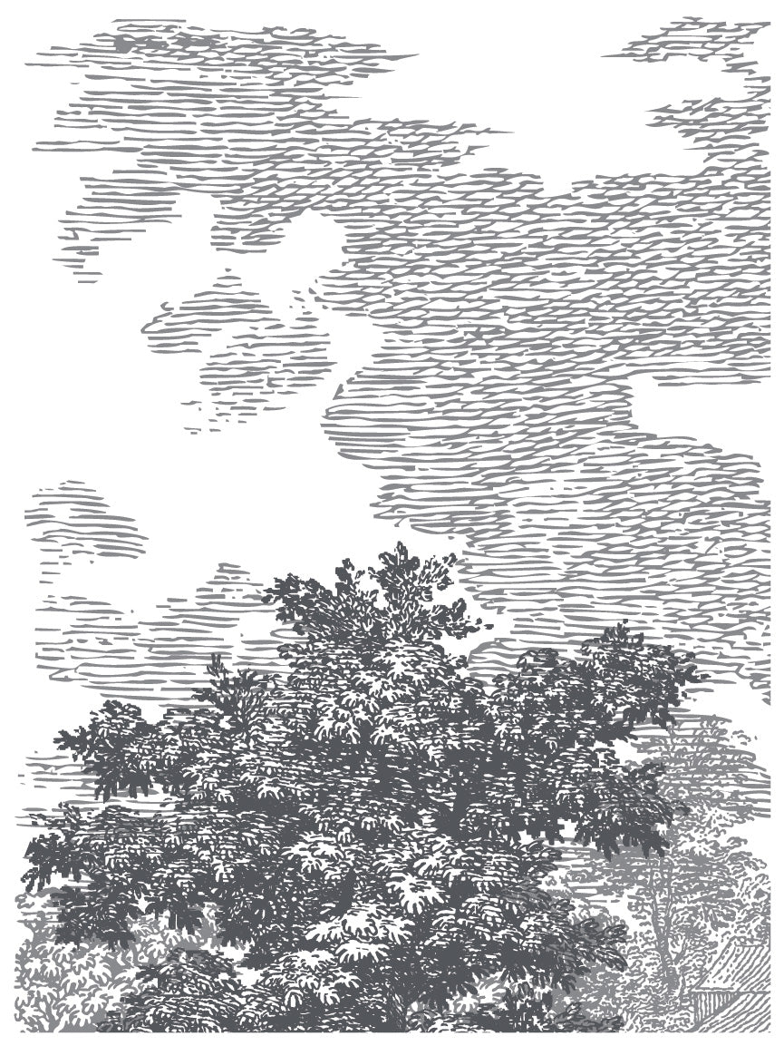Page from IOD's 'Summer Villa' Paint Inlay with trees and clouds