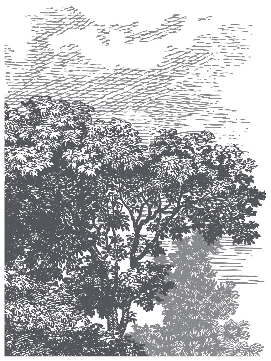 12"x16" page from IOD Paint Inlay 'Summer Villa' featuring a canopy of trees and clouds above them.