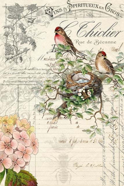 Bird Ephemera- Roycycled Decoupage Paper