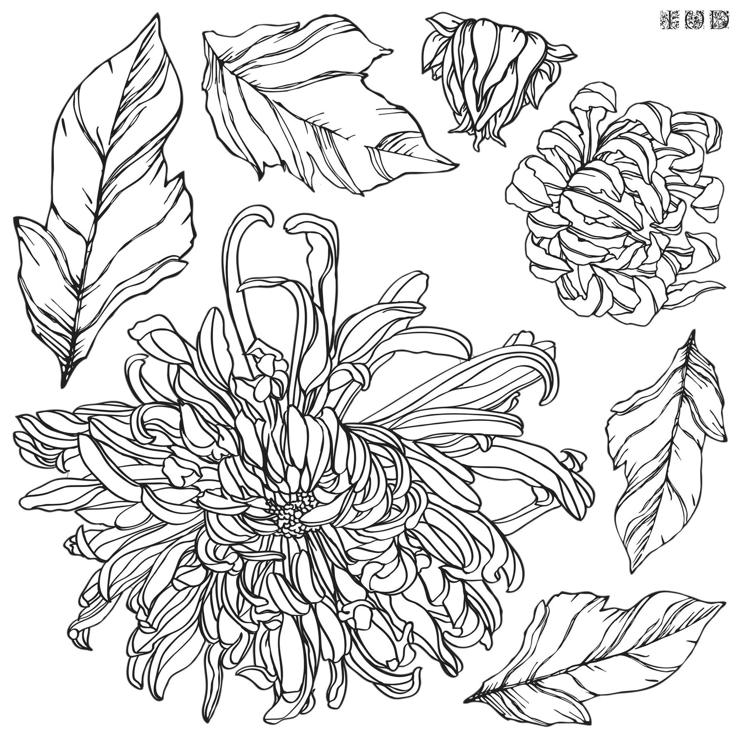 2 Chrysanthemum blooms and leaf stamps, part of a master stamp from IOD, "Chrysanthemum"