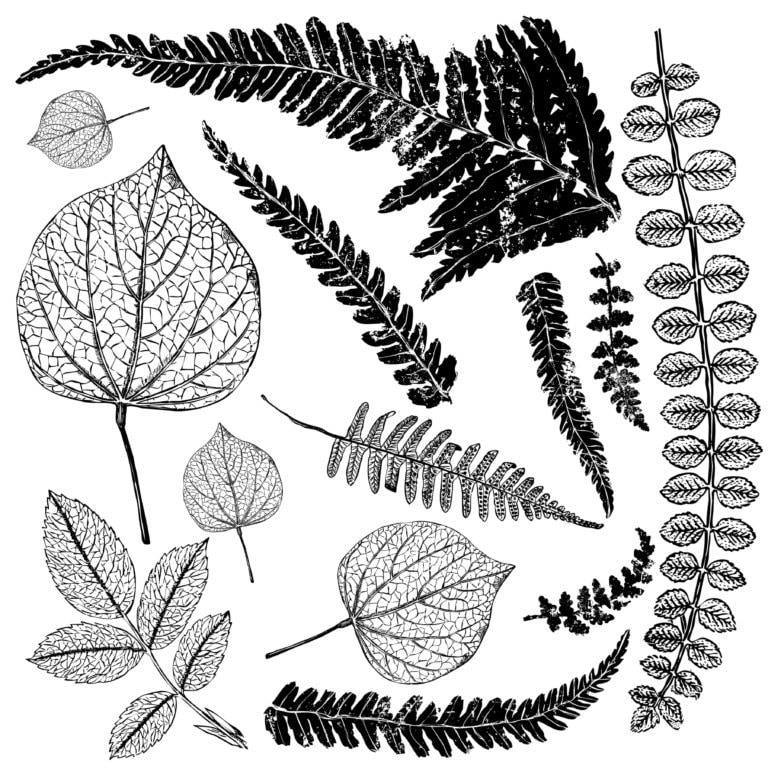 A collection of various leaf and frond designs suitable for decor stamping.