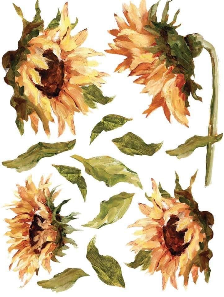 Painterly Florals- IOD Transfer