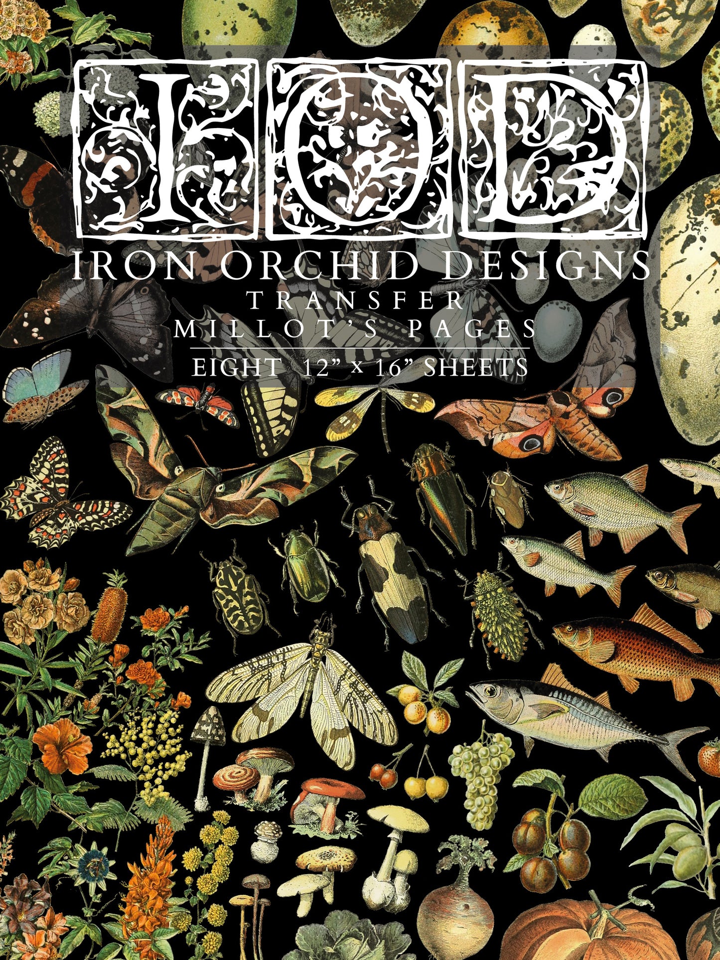 Millot's Pages transfer- IOD Transfer