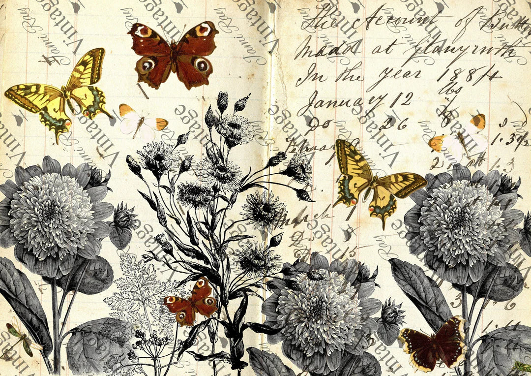 Monarchromatic | JRV A4 Rice Paper
