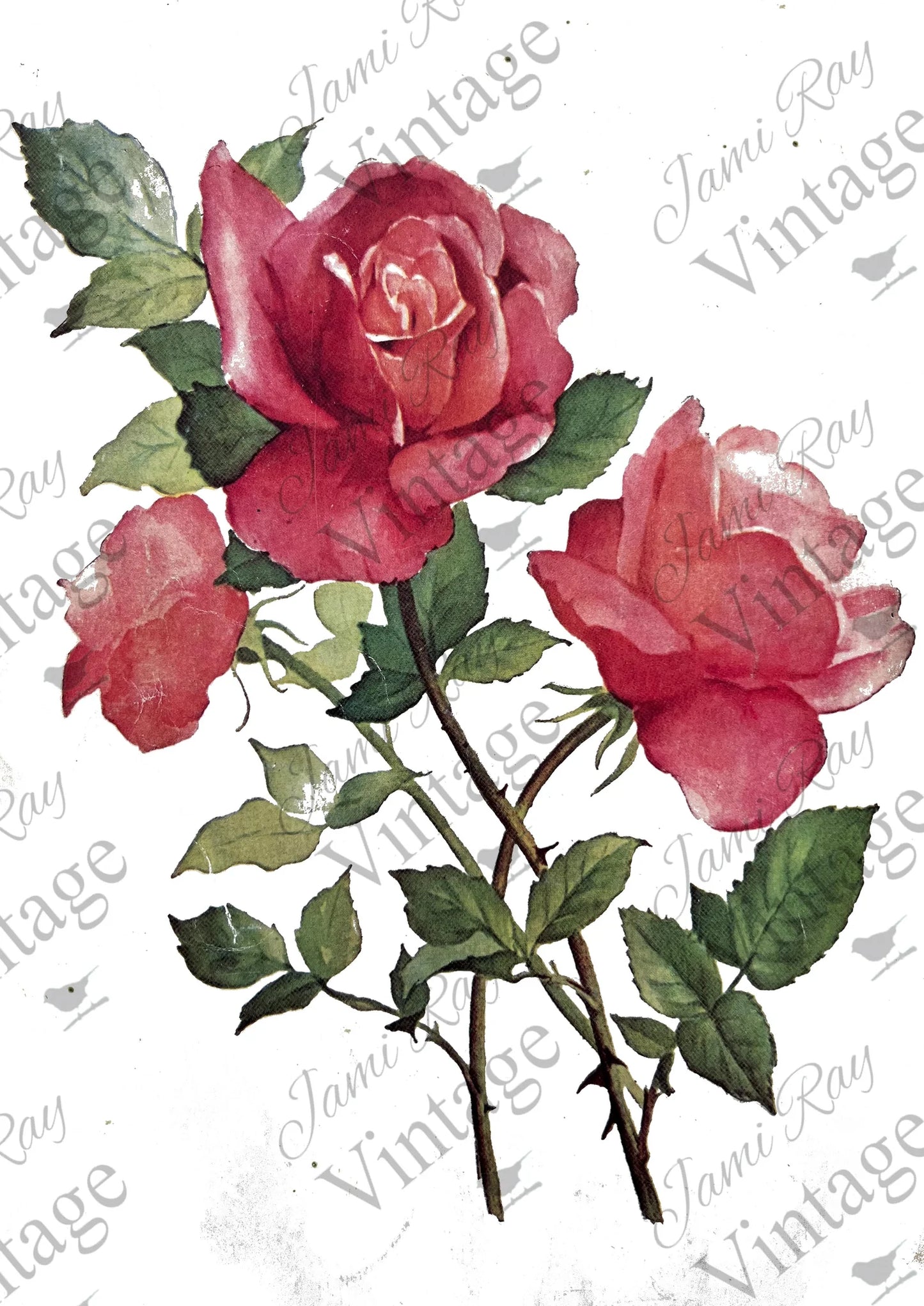 Roses | JRV A4 Rice Paper