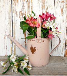 Tickled Pink- Sweet Pickins Milk Paint
