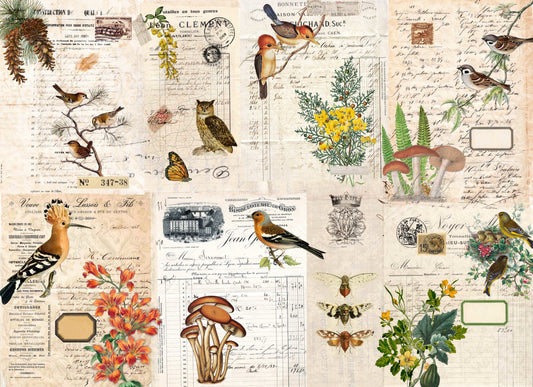 Fall Botanical Project Blocks- Roycycled Decoupage Paper