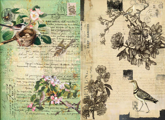 A 20" x 30" sheet of Roycycled decoupage paper called "Botanical Blocks", featuring a colored half and a B&W half both with birds, flowers, and vintage script.