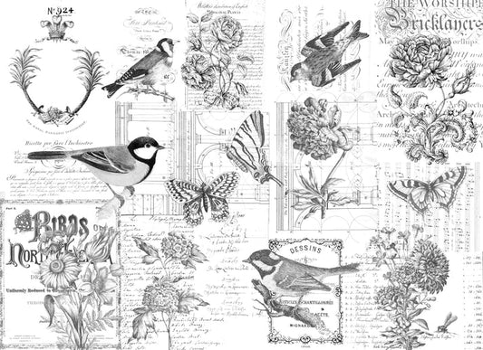 A 20" x 30" sheet of Roycycled decoupage paper called "Paintable Botanical", with black and white sketches of birds, butterflies, flowers and more, all intended to be painted as the artist chooses.