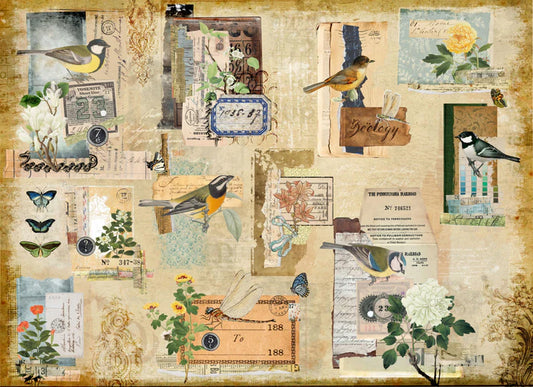 A 20" x 30" Roycycled brand decoupage paper, featuring a beige background and a collage of ephemera, birds, tags and more.