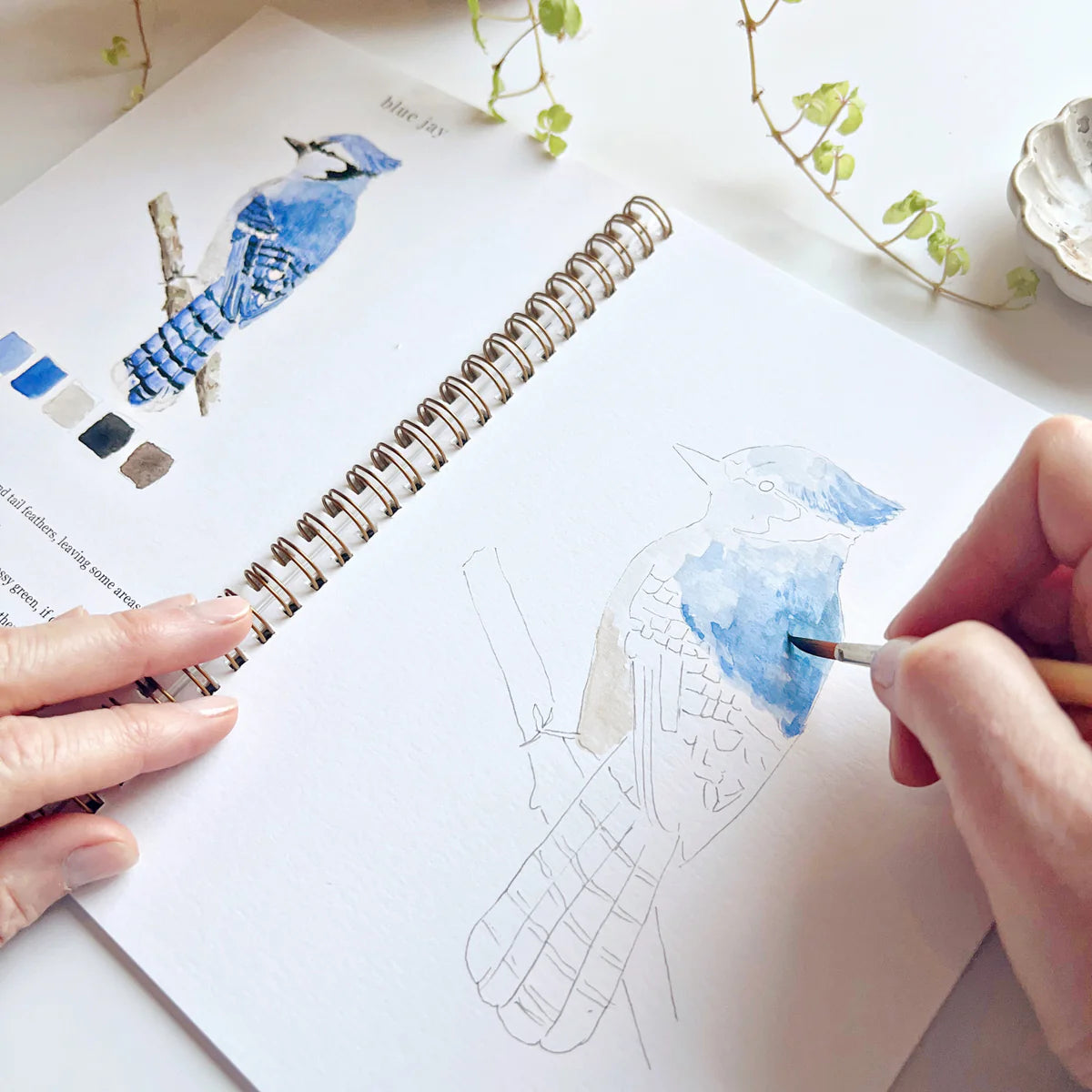 A hand with a paintbrush painting a blue jay with watercolor in a workbook on table.