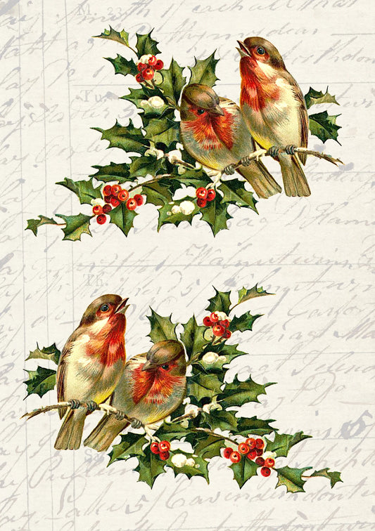 Birds on Holly Branch- JRV A4 Rice Paper K