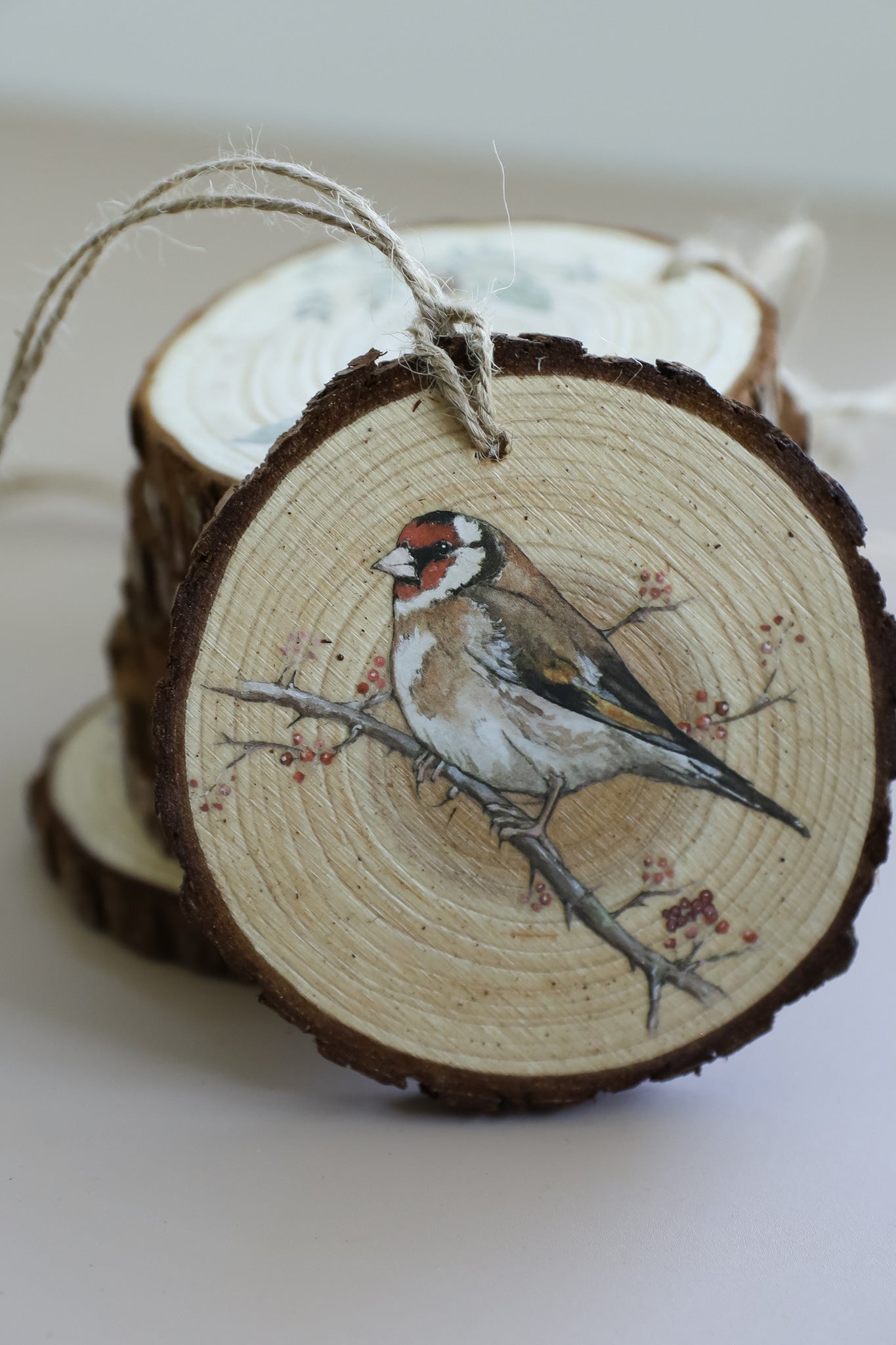 The Bramblewood Diaries - 8" x 12" Seasonal Transfer Pad