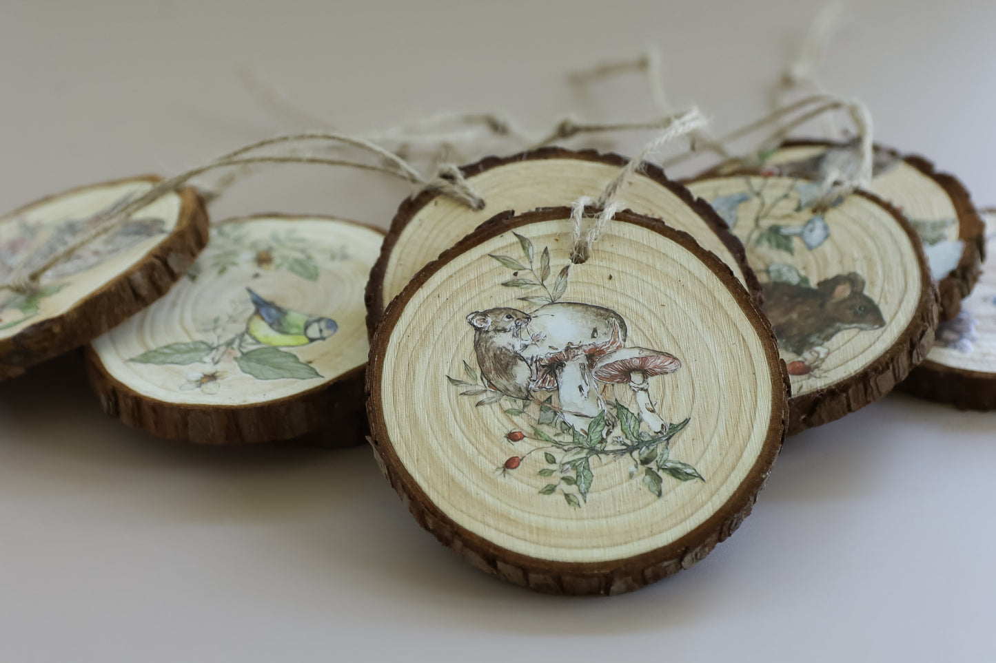 The Bramblewood Diaries - 8" x 12" Seasonal Transfer Pad