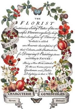 Transfer page from "Clementine" showing decorative floral design with text and illustrations on a white background