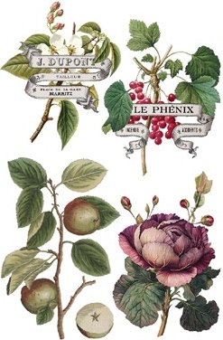 Transfer page from "Clementine" showing decorative botanical illustrations with text and flowers on a white background