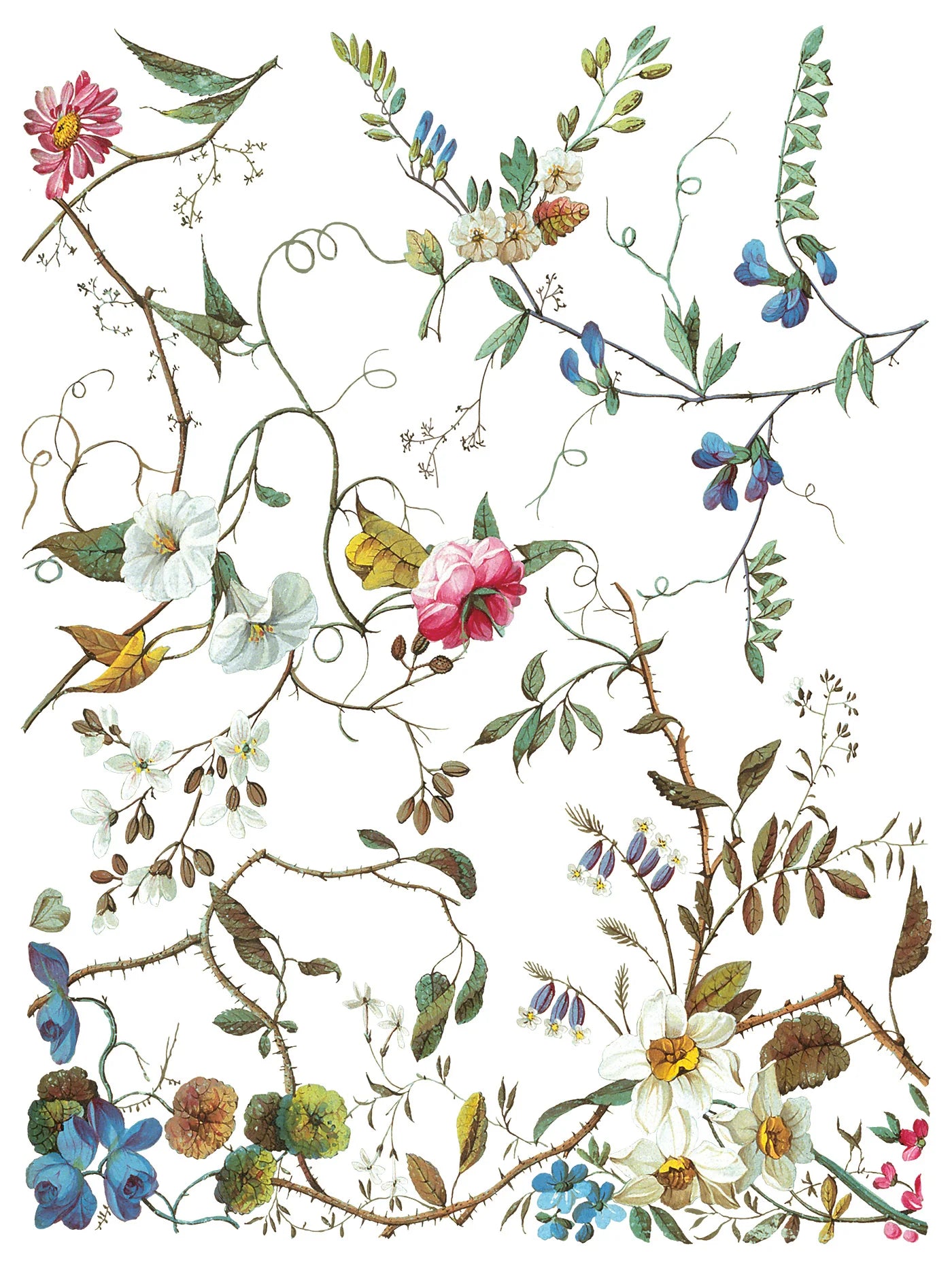 Decorative arrangement of flowers and leaves on a white background, part of IOD's "Lost Garden" transfer pad.