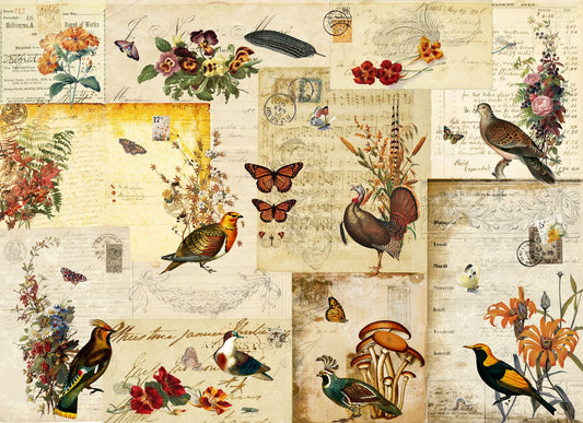 Collage of vintage-style illustrations featuring birds, flowers, and butterflies on a textured background.