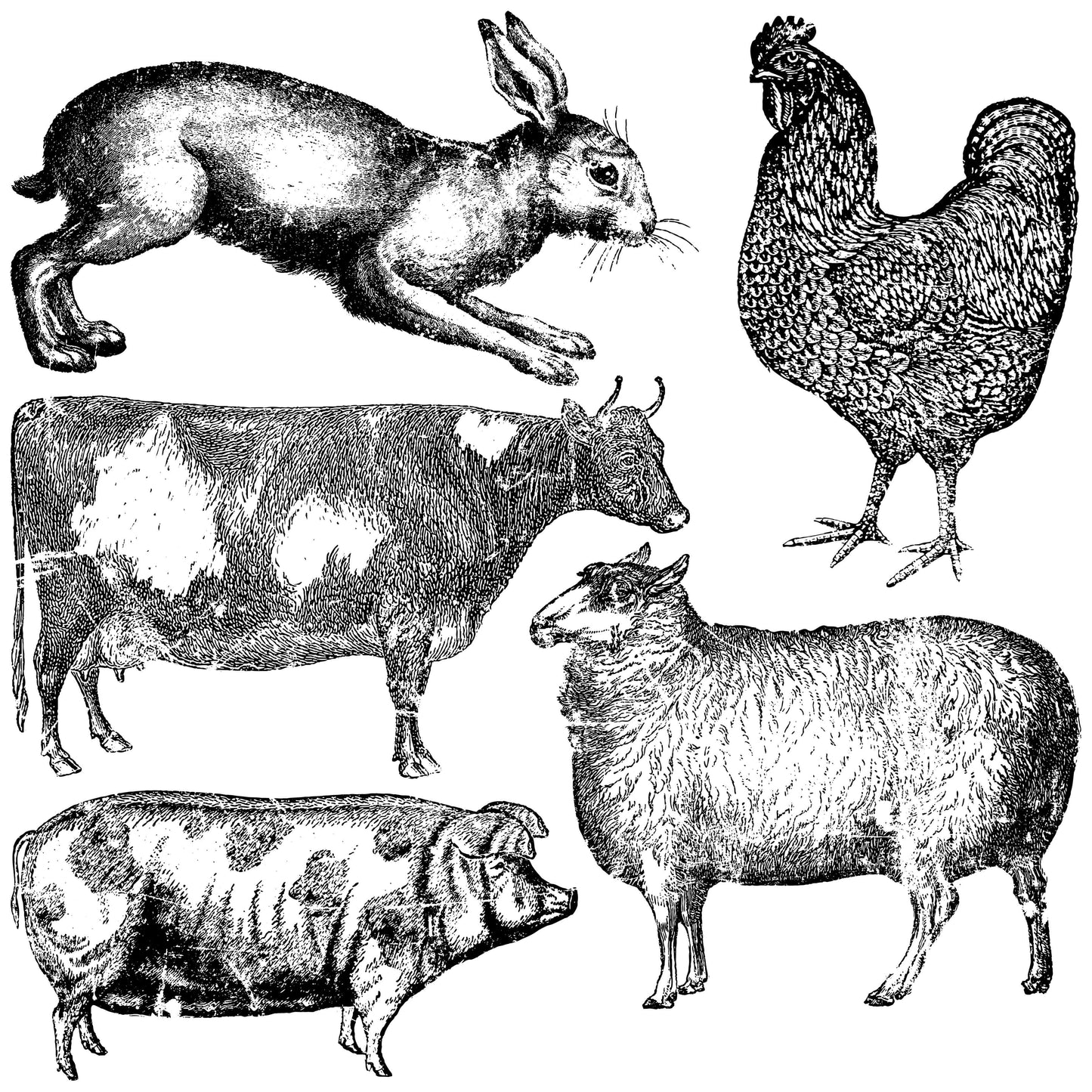 Black and white stamps on a 12” x 12” sheet, depicting illustrations of a rabbit, cow, sheep, pig, and chicken on a white background.