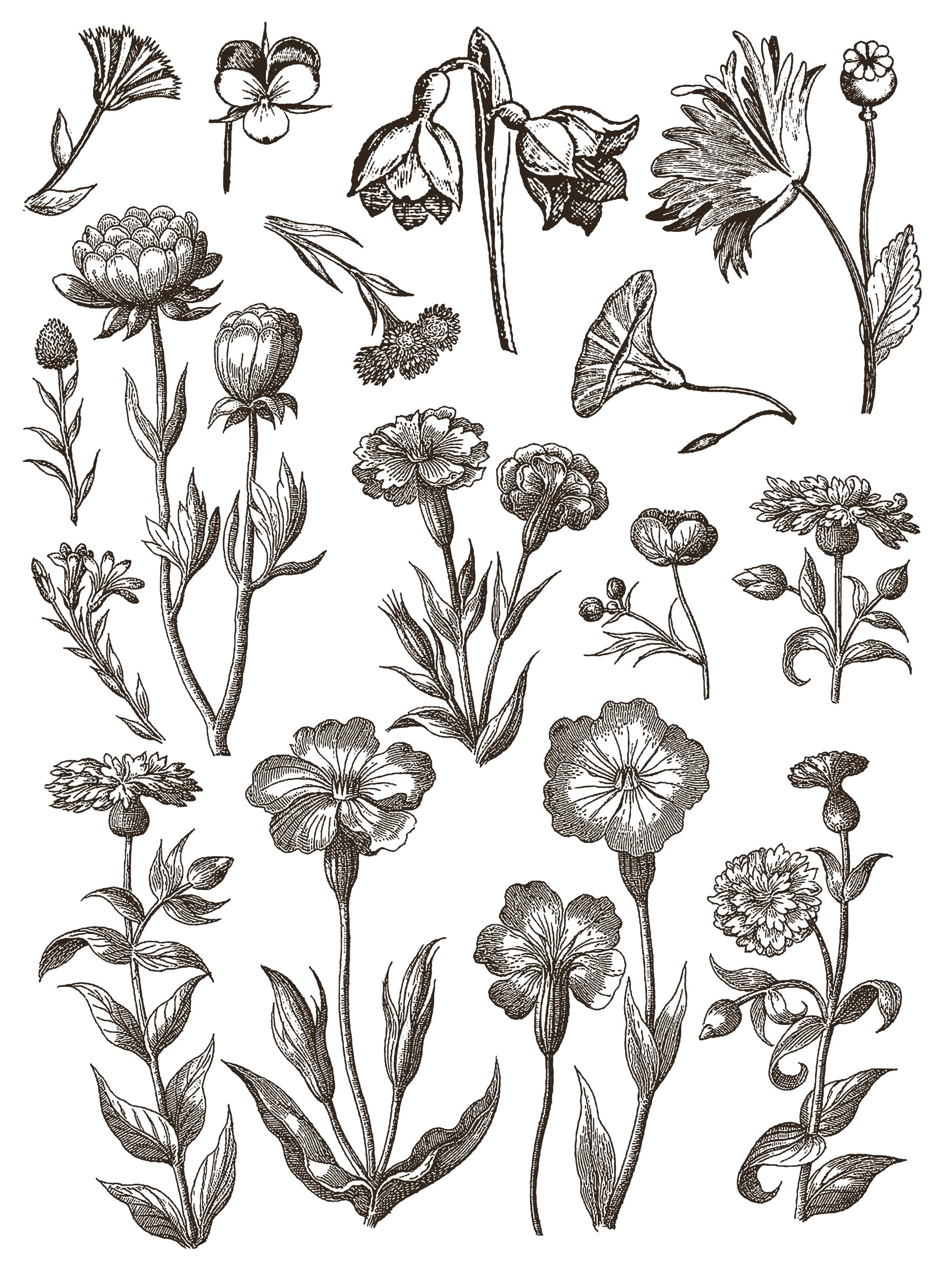 Romantic floriography flowers furniture transfer page one of eight